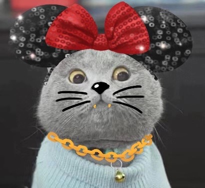 Mickey Cat